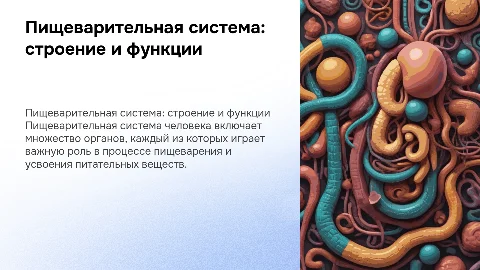 Пищеварительная система: строение и функции органов