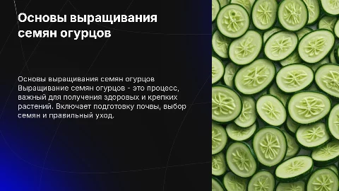 выращивание семян огурцов