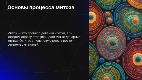 Митоз и мейоз