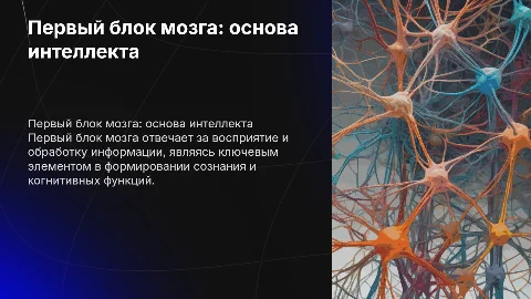 первый блок мозга