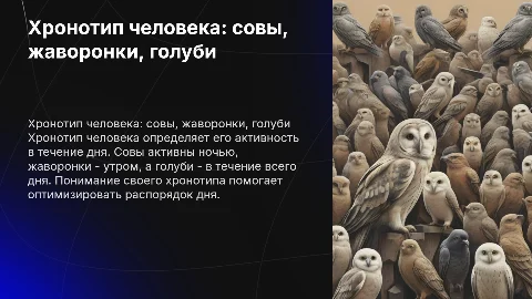 хронотип человека: сова, жаворонок, голубь