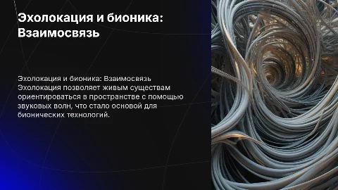 Эхолокация бионика