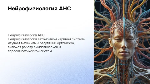 тема: нейрофизиология автономной нервной системы