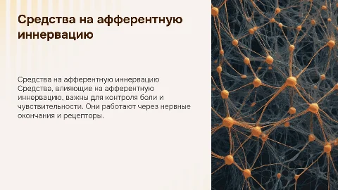Средства,действующие на афферентную иннервацию