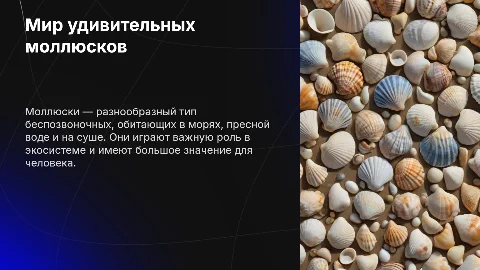Моллюски