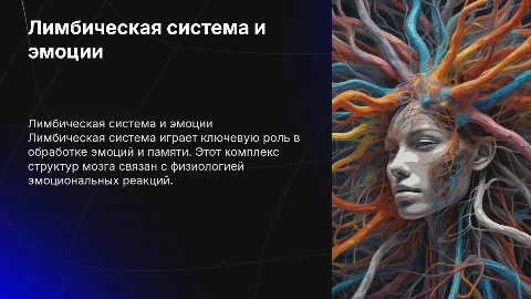 Лимбическая система: функции и эмоции в нейробиологии
