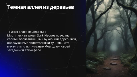 ные изгороди (Dark Hedges)** – мистическая аллея из деревьев