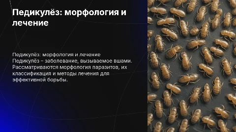 Педикулёз, морфология классификация и лечение