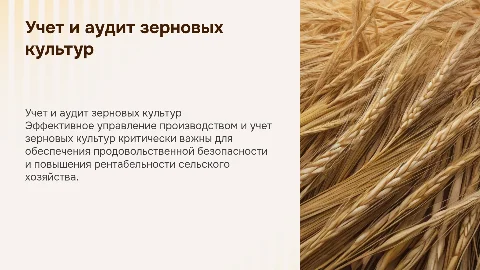 учет и аудит производства продукции зерновых культур