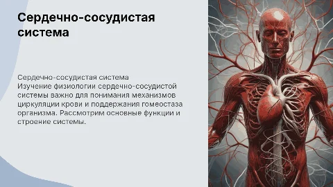 Презентация по физиологии: Сердечно-сосудистая система