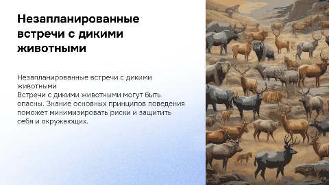 Тактика поведения при незапланированных встречах с дикими животными