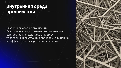 внутренняя среда организации