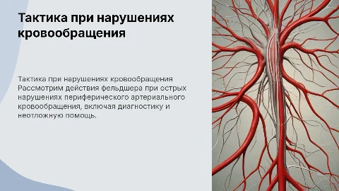 Тактика фельдшера при острых нарушениях кровообращения