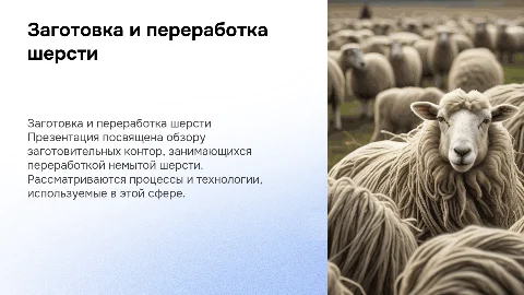Заготовительные конторы по переработке немытой шерсти