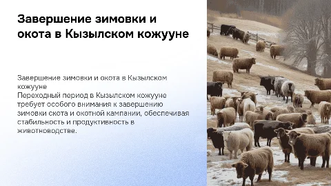 Завершение зимовки скота и окотной кампании в Кызылском кожууне