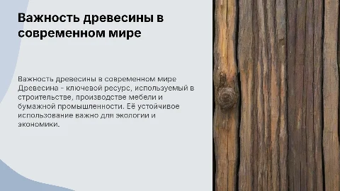 Древесина