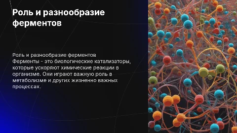 Виды и функции ферментов в организме человека
