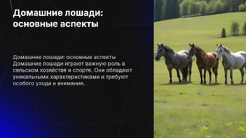 "Домашние лошади