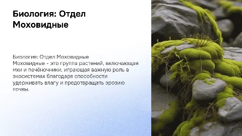 биология отдел моховидные