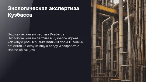 ЭКОЛОГИЧЕСКАЯ ЭКСПЕРТИЗА В КУЗБАССЕ