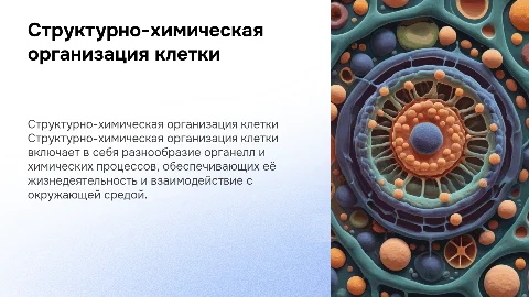 Структурно-химическая организация живой клетки