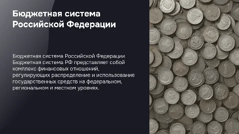 Бюджетная система РФ