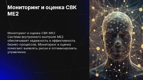 Мониторинг и оценка системы внутреннего контроля ME2