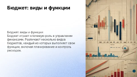 бюджет: виды, функции