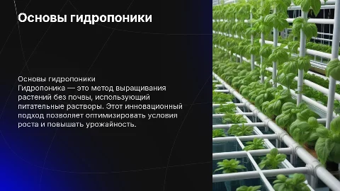 гидропоника