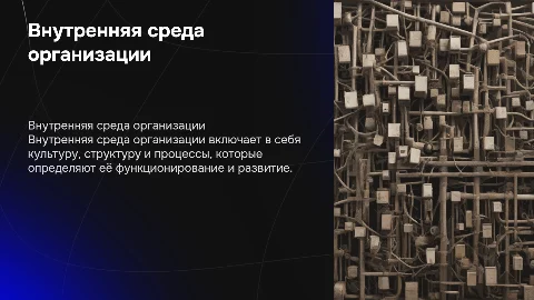 Внутреняя Среда организации
