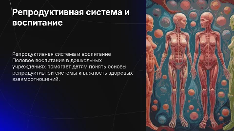 Репродуктивная система , половое воспитание в ДОУ