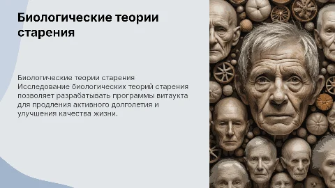 Биологические теории старения человека и программы витаукта