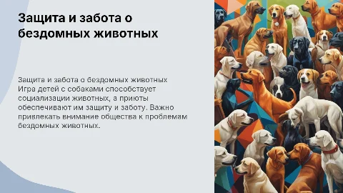 Защита бездомных животных и игра детей с собаками