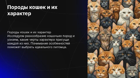 породы кошек и особенности их характера