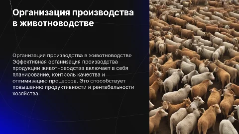 Организация производства продукции животноводства