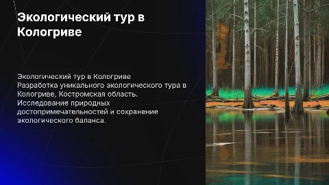 Разработка экологического тура в Кологриве, Костромская область