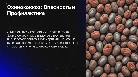 Эхинококкоз