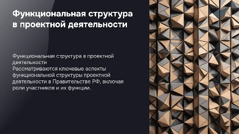 Функциональная структура проектной деятельности в Правительстве РФ