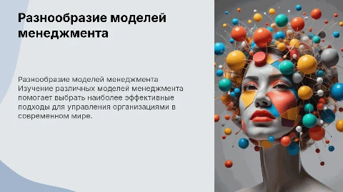 Разнообразие моделей менеджмента