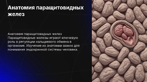 Презентация по анатомии паращитовидных желез