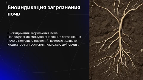 Курсовая работа на тему:БИОИНДИКАЦИЯ ЗАГРЯЗНЕНИЯ ПОЧВ ПО РАСТЕНИЯМ