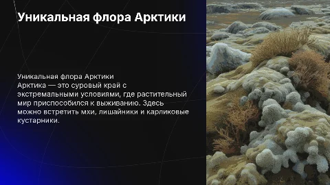 Растительный мир Арктики