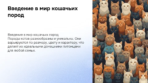 Породы котов