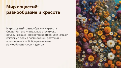 Соцветие