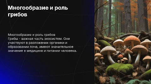 Многообразие грибов и их значение в природе и жизни человека