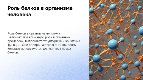Превращение белков пищи в организме: функции и значение