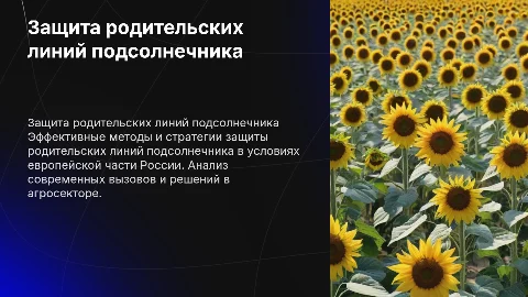 Защита родительских линий подсолнечника в России