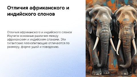 Викторина: Отличие африканского слона от индийского