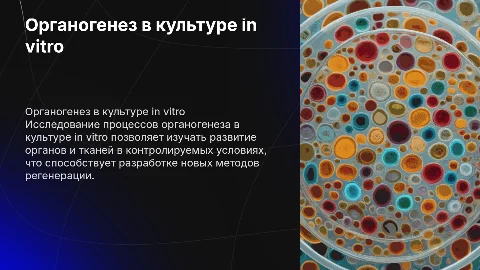 Органогенез в культуре in vitro