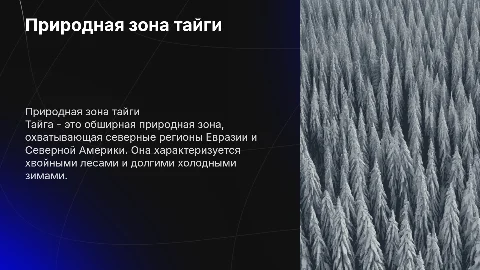 Подготовка презентации о природной зоне тайги